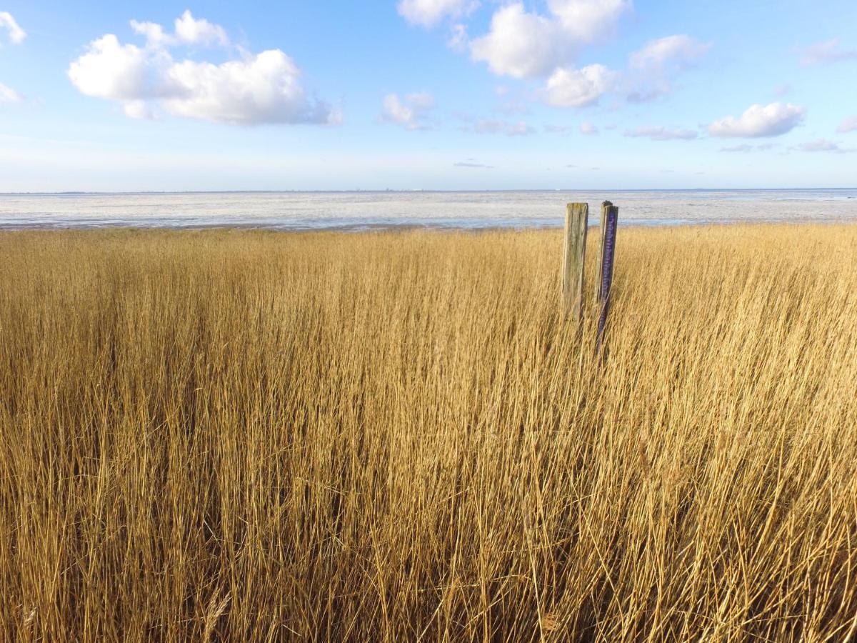 Charme Logies Wad Zout 'T Villa Westerland Exterior photo